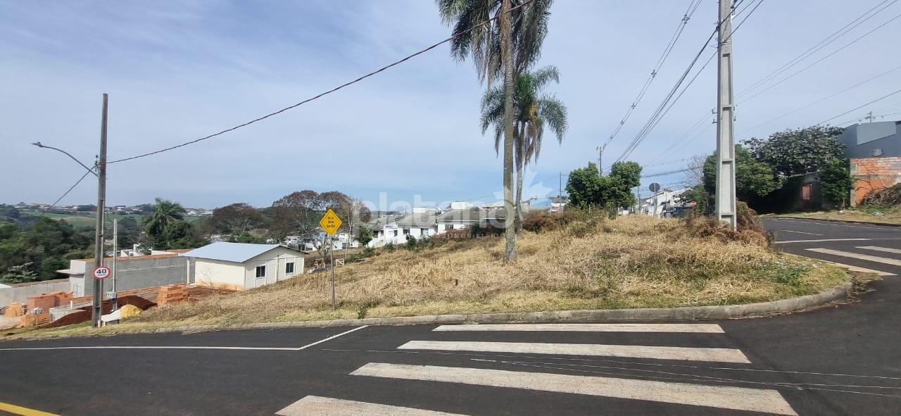 Terreno, AEROPORTO, PATO BRANCO - PR