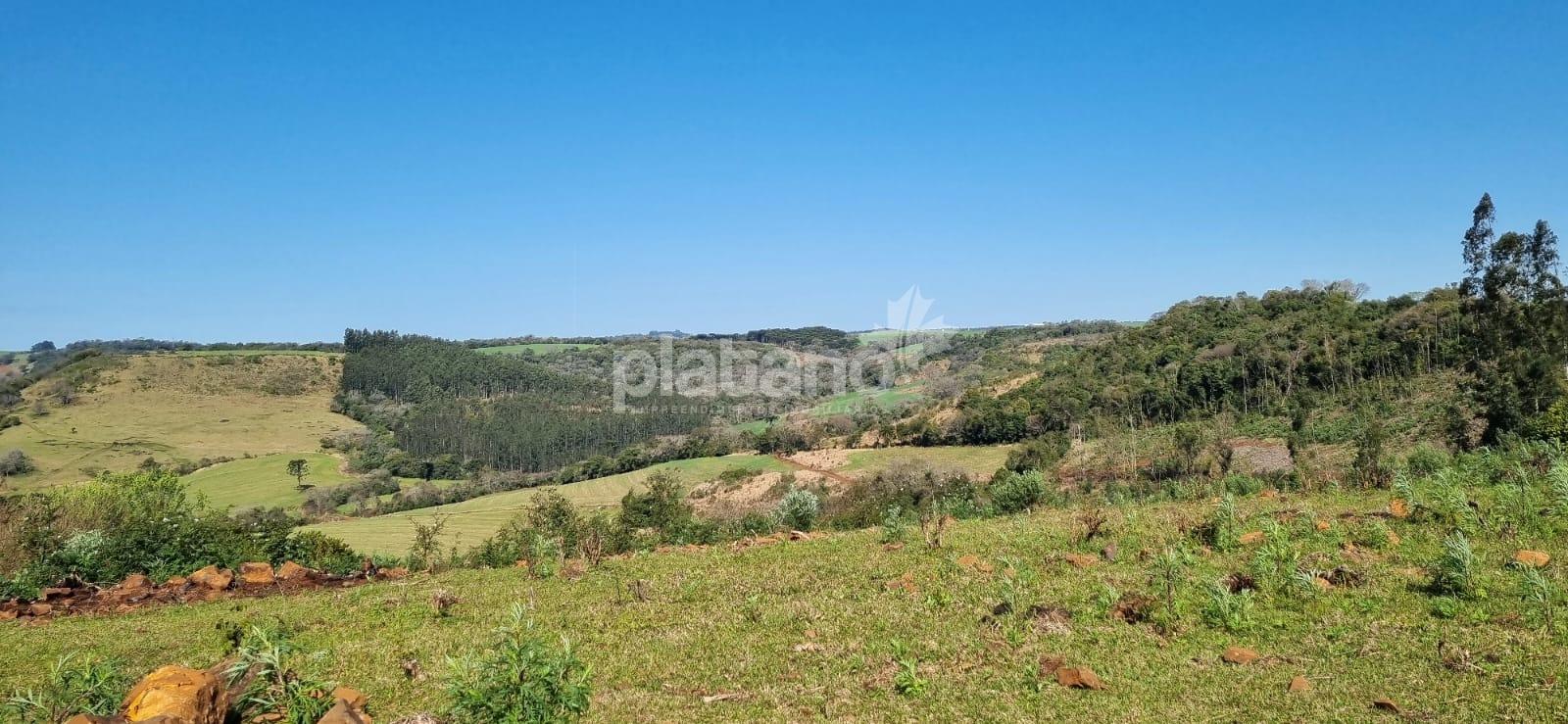 Chácara, SEDE DOM CARLOS, PATO BRANCO - PR
