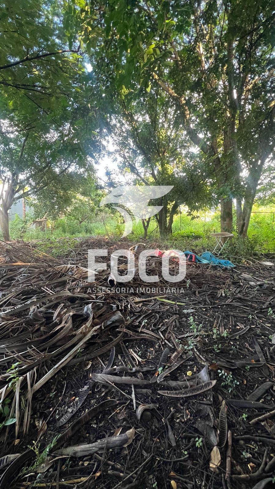 Terreno 250 m2 no Bairro Assistência 6 lotes medindo 10x25 cada.