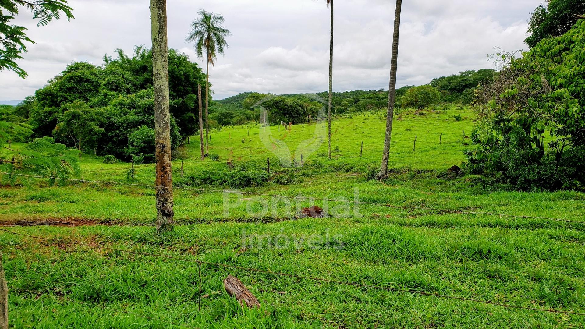 Fazenda à venda, próximo à Gruta dos Palhares, SACRAMENTO - MG