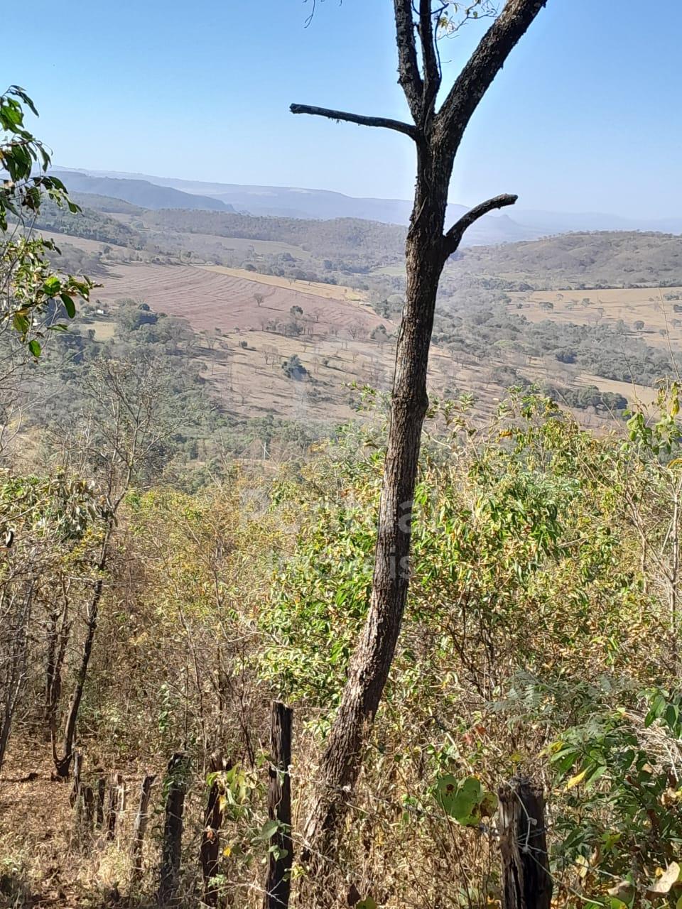 Fazenda à venda, Fazenda Palhares, 42,8 hectares, SACRAMENTO - MG