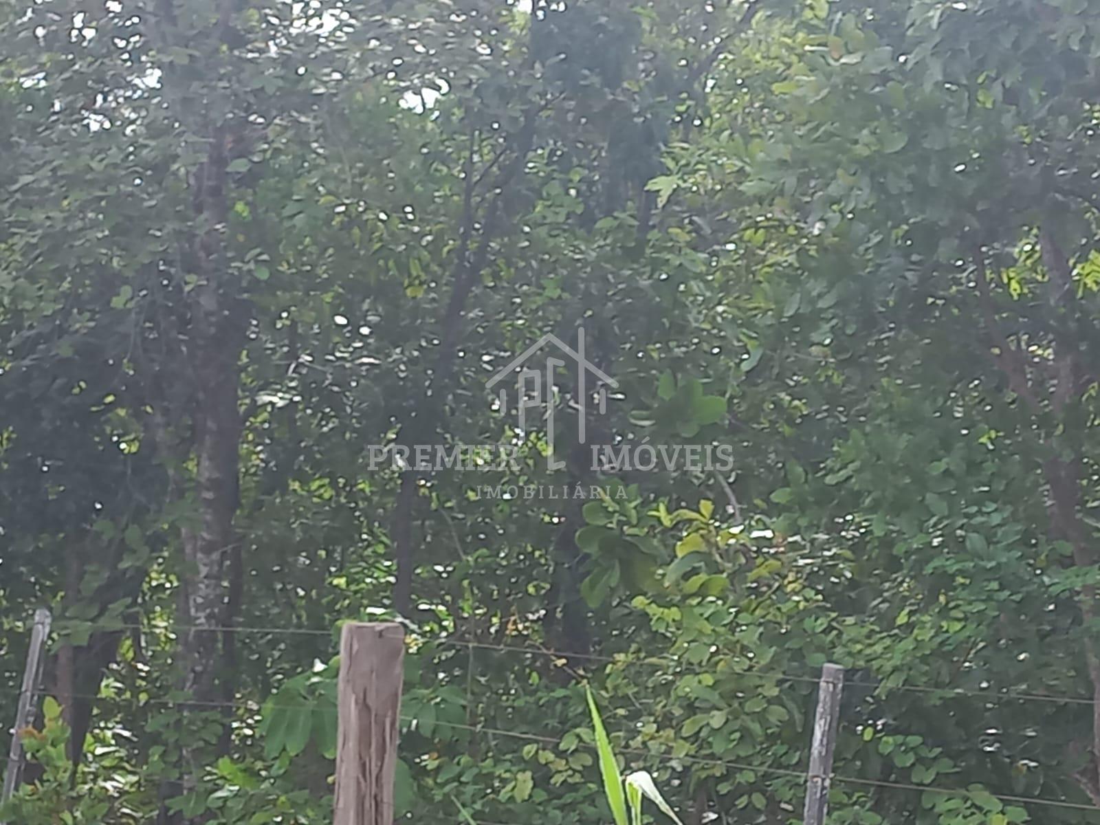 Chácara com 10.800 m2 sendo 60 x 180 localizada na Rod. Chapada