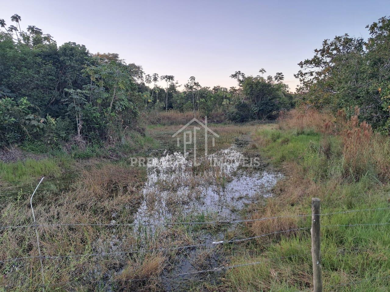 Chacara  com 20.000 m2, Morro de São Geronimo Estrada da Ponte de Ferro