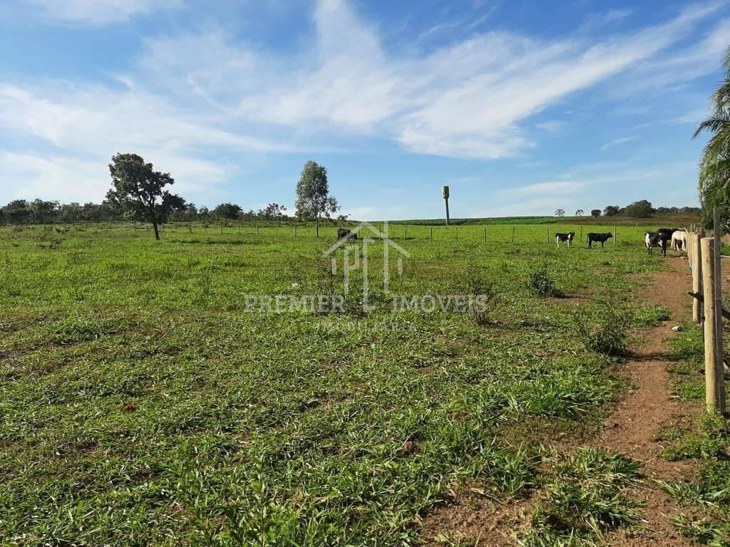 Venda de Sitio em Campo Verde contendo 14 hectares, 1 suíte máster, 2 quartos