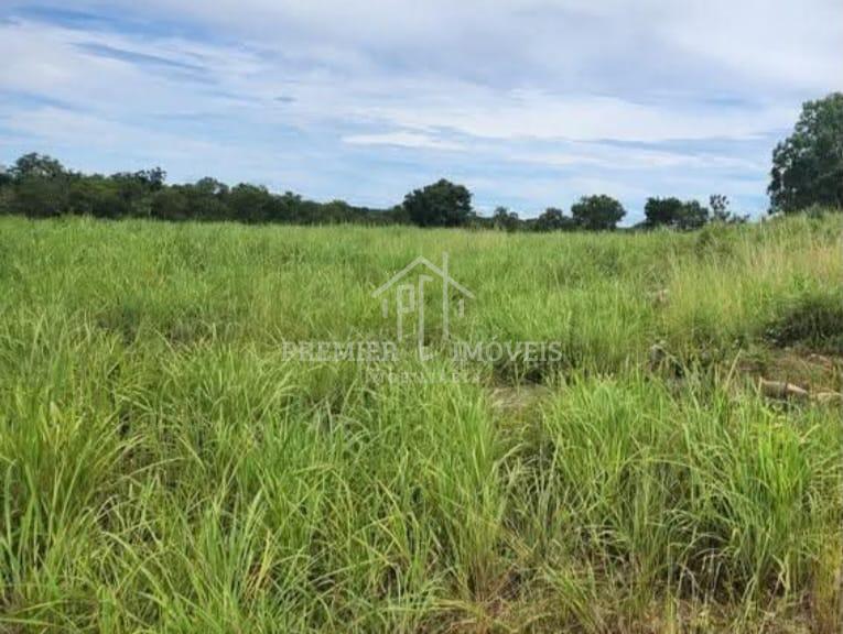 Vendo fazenda com 515 hectares em Nossa Senhora do Livramento