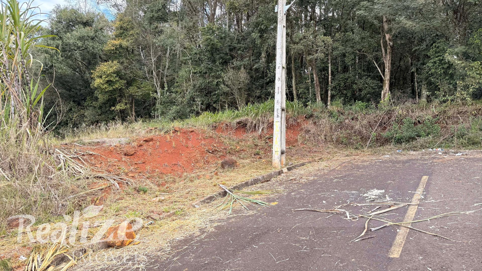 TERRENO - ACIMA DO NÍVEL DA RUA  BAIRRO DAS TORRES