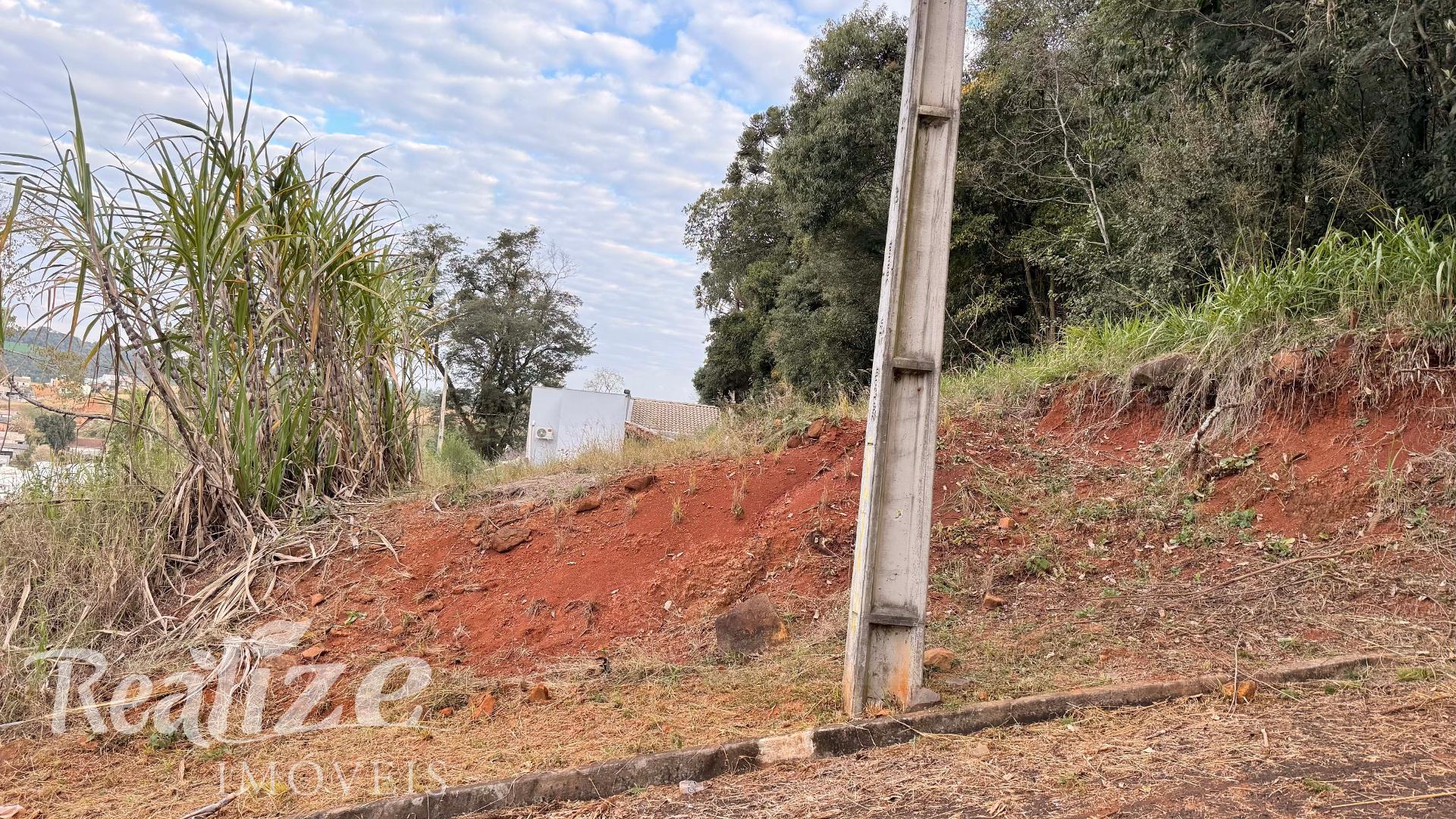 TERRENO - ACIMA DO NÍVEL DA RUA  BAIRRO DAS TORRES