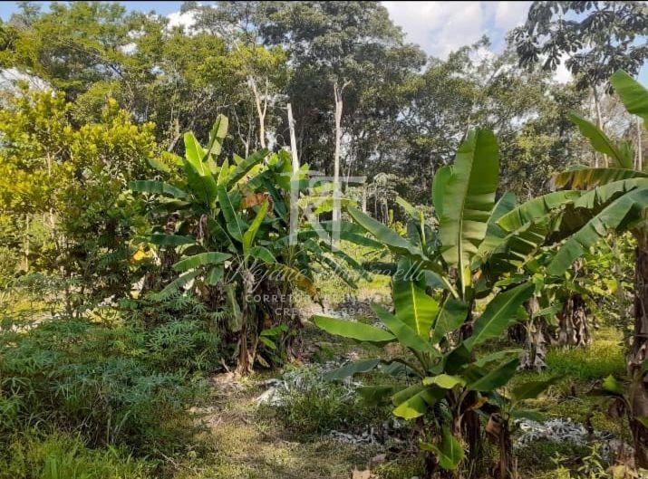 Chácara à venda, Recanto do Teles Pires, LUCAS DO RIO VERDE - MT