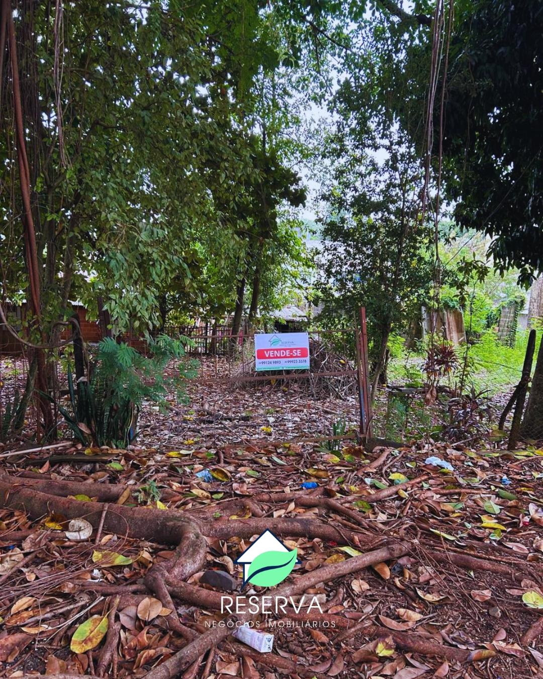 Amplo Terreno com 833,75m² à Venda no Jardim América. Excelente Localização.