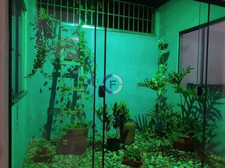 Casa, 2 quartos, 500 m² - Foto 8