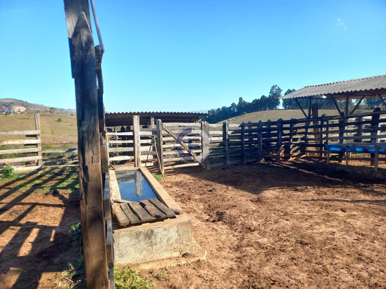 Fazenda, 4 quartos - Foto 3