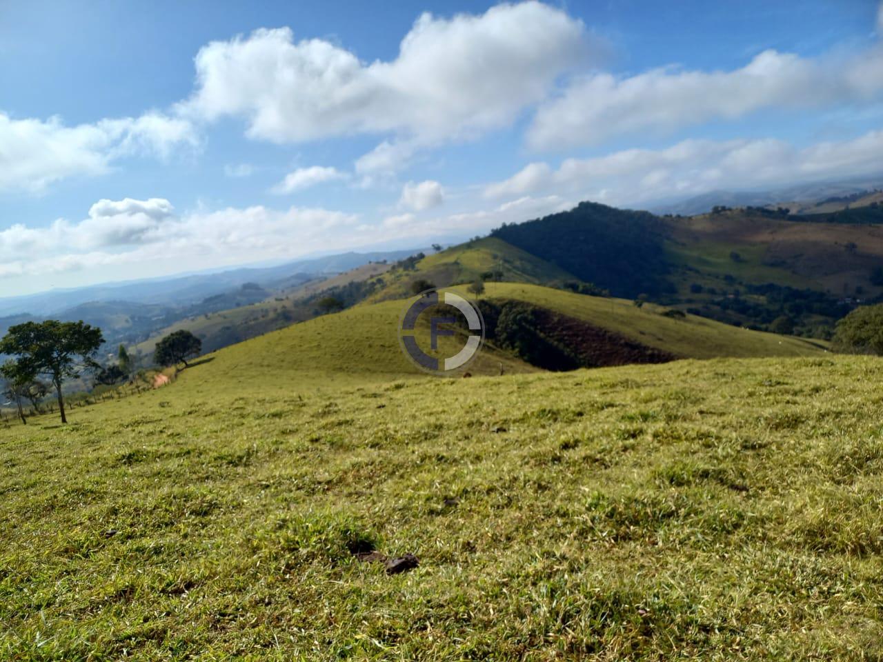 Fazenda, 4 quartos - Foto 4