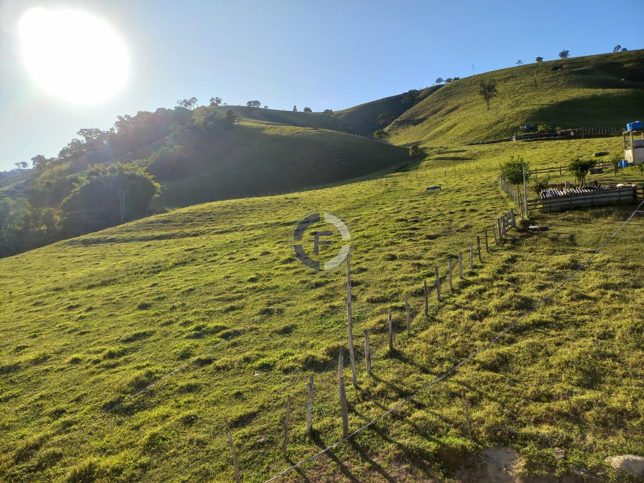 Fazenda, 4 quartos - Foto 5