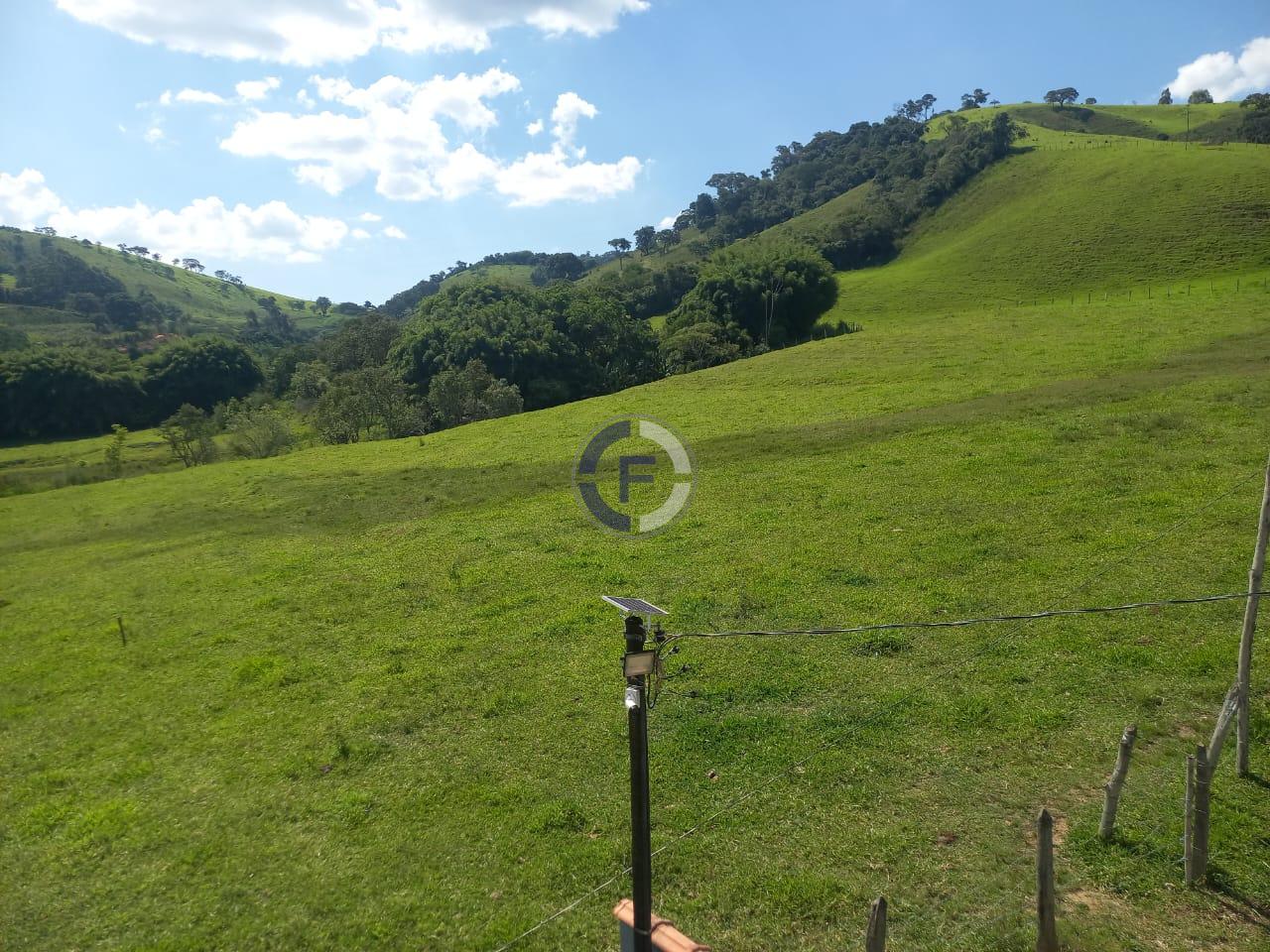 Fazenda, 4 quartos - Foto 9