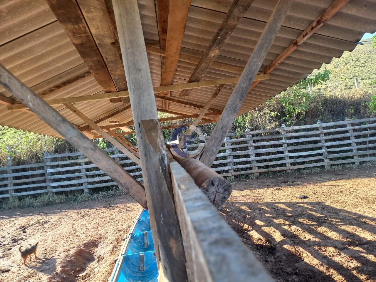 Fazenda, 4 quartos - Foto 10