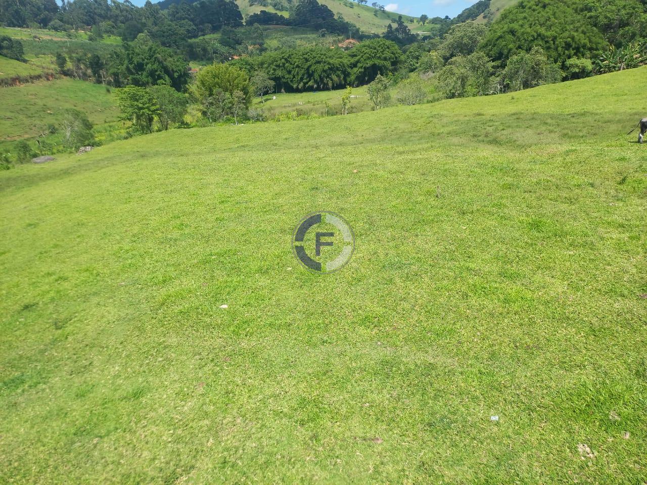 Fazenda, 4 quartos - Foto 11