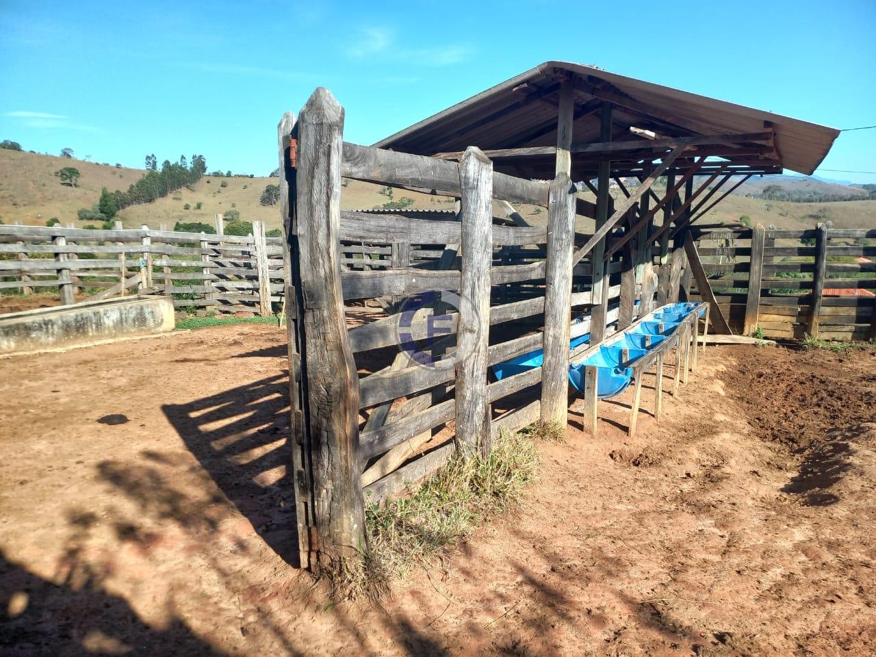 Fazenda, 4 quartos - Foto 15