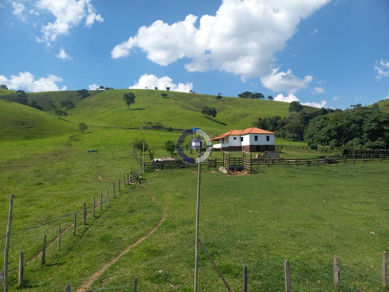 Fazenda, 4 quartos - Foto 17