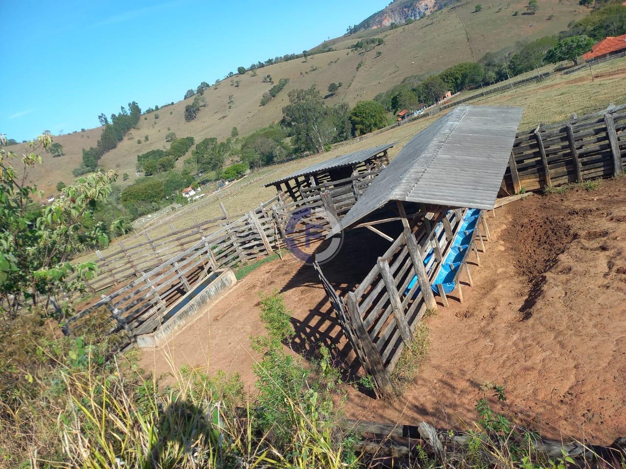 Fazenda, 4 quartos - Foto 18