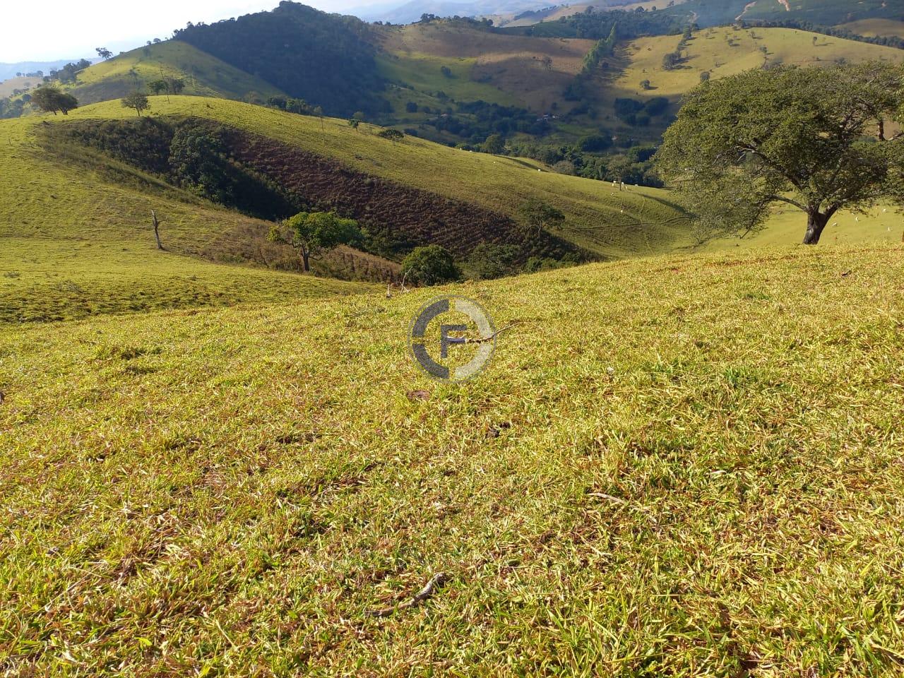 Fazenda, 4 quartos - Foto 21