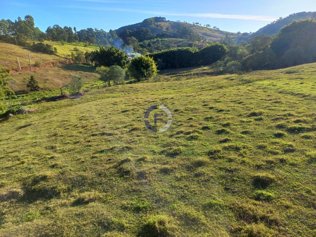 Fazenda, 4 quartos - Foto 24