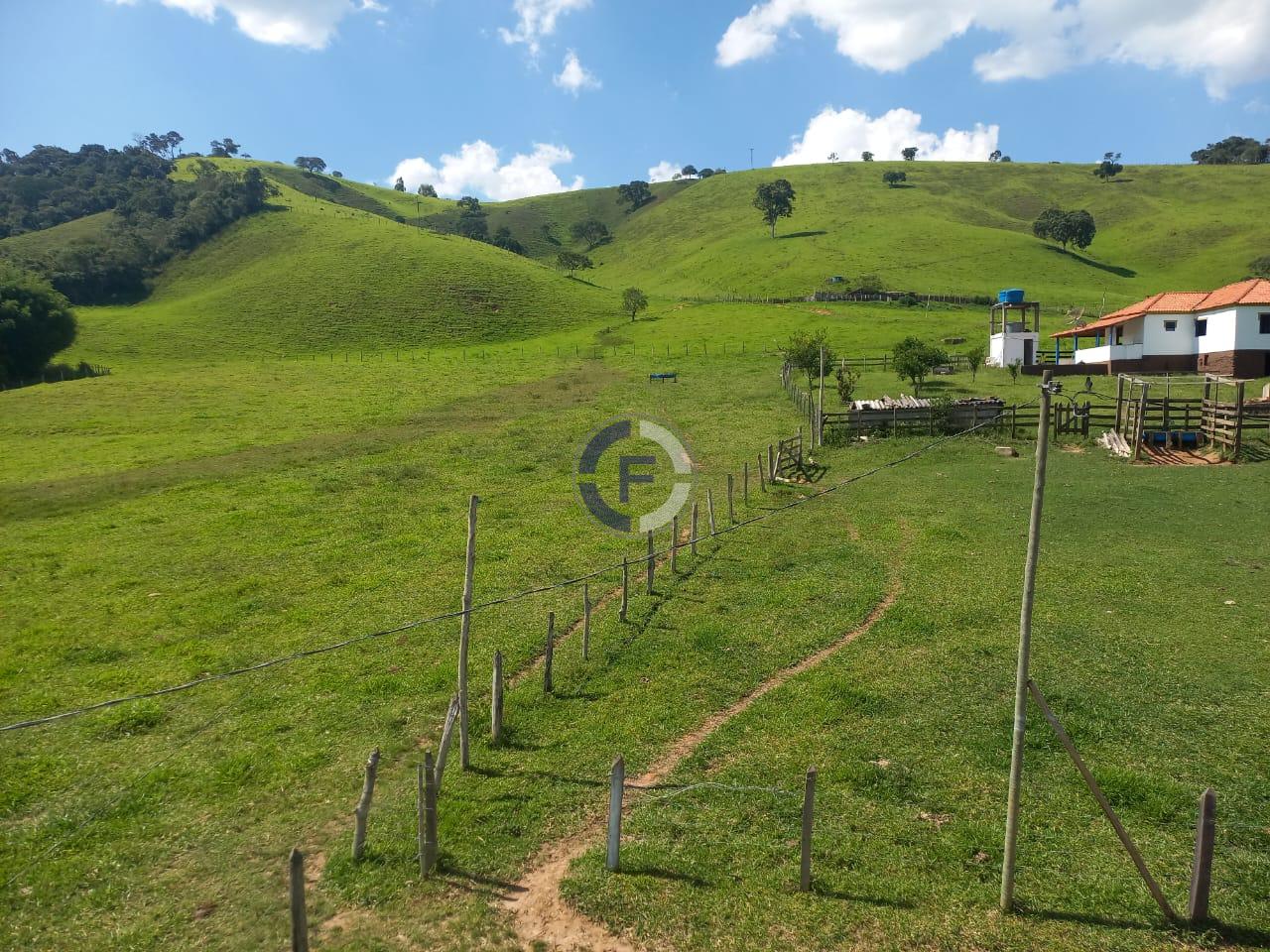 Fazenda, 4 quartos - Foto 30