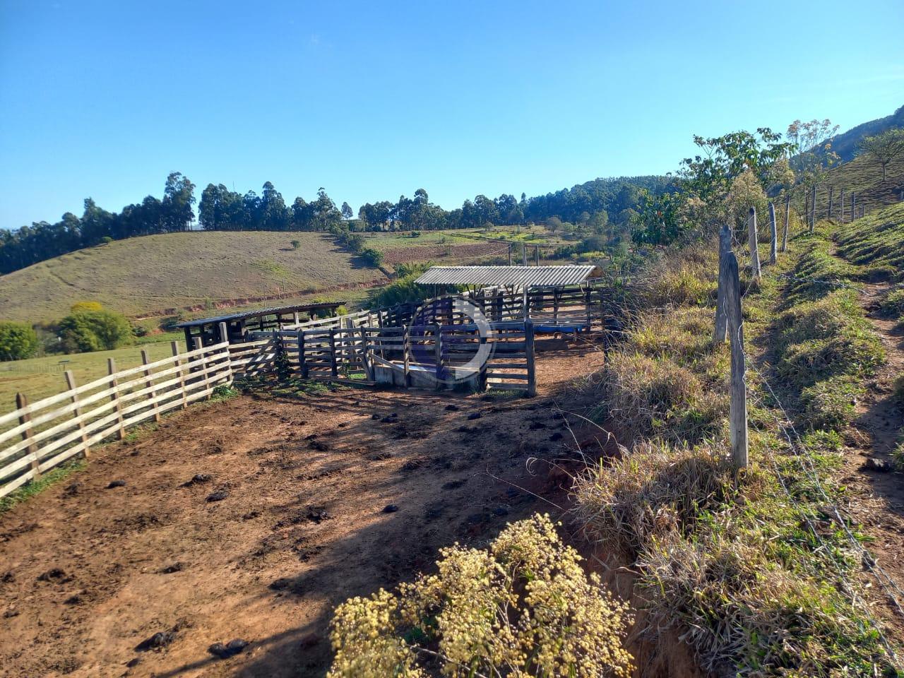 Fazenda, 4 quartos - Foto 35