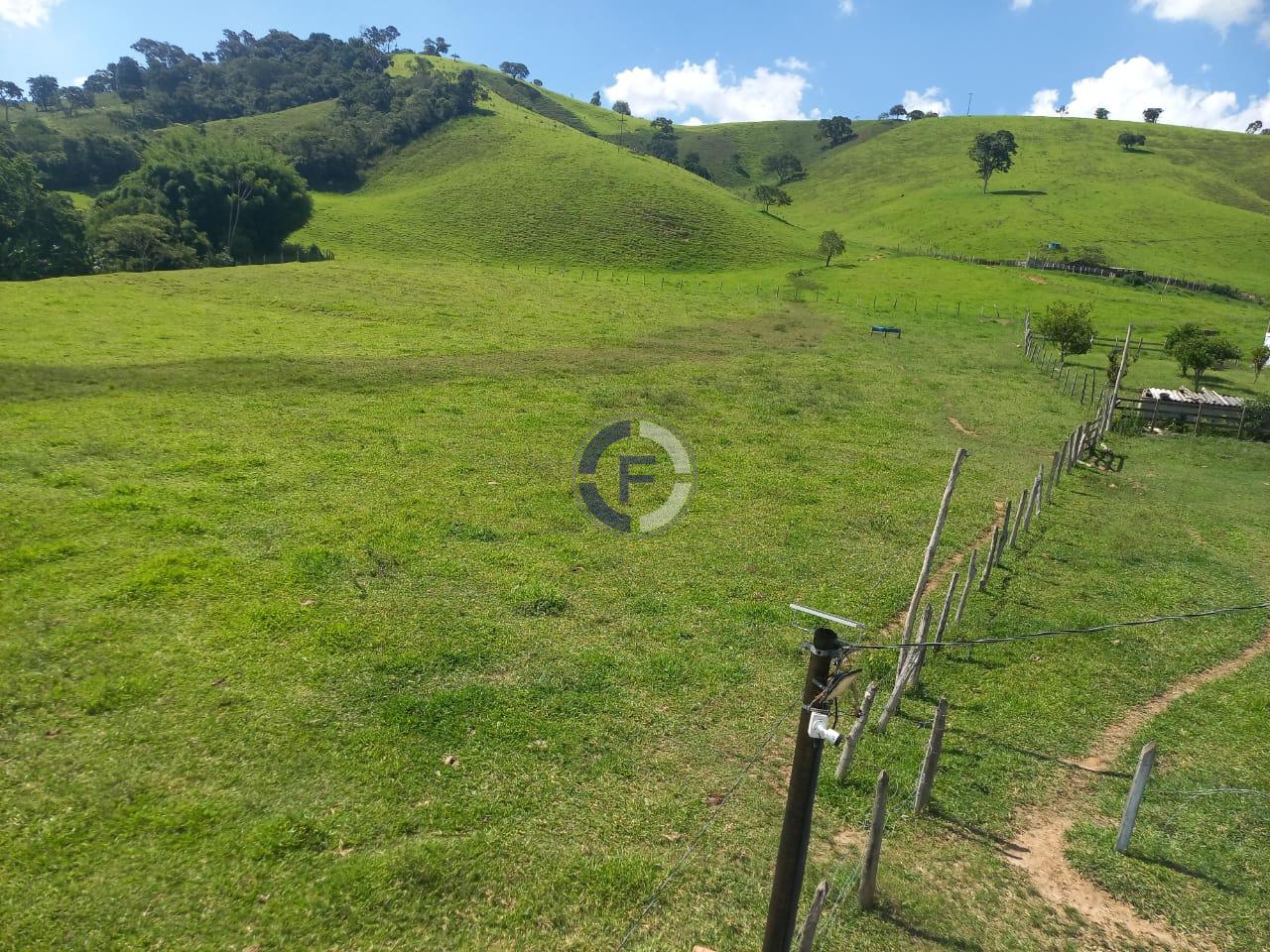 Fazenda, 4 quartos - Foto 37