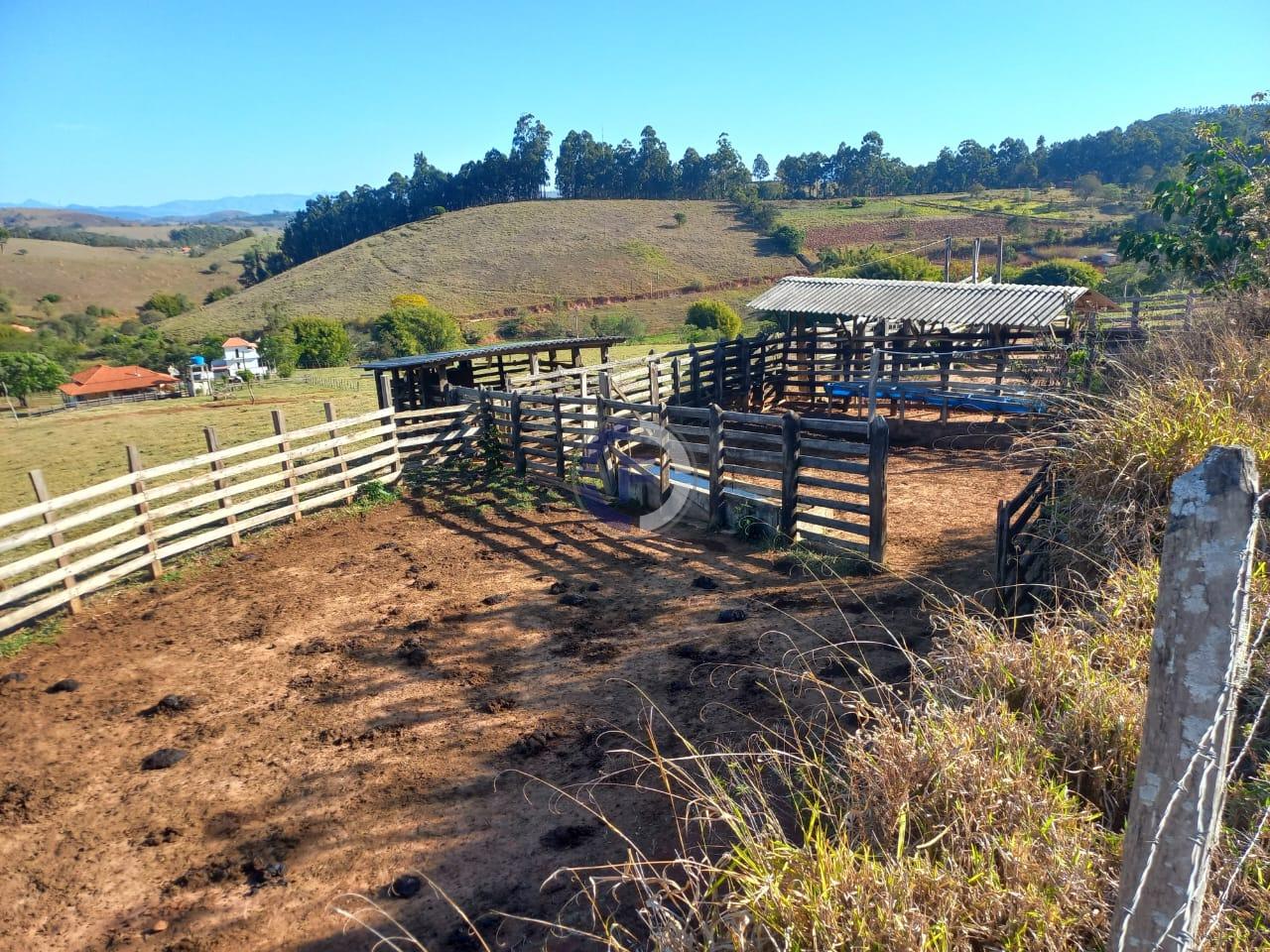 Fazenda, 4 quartos - Foto 38