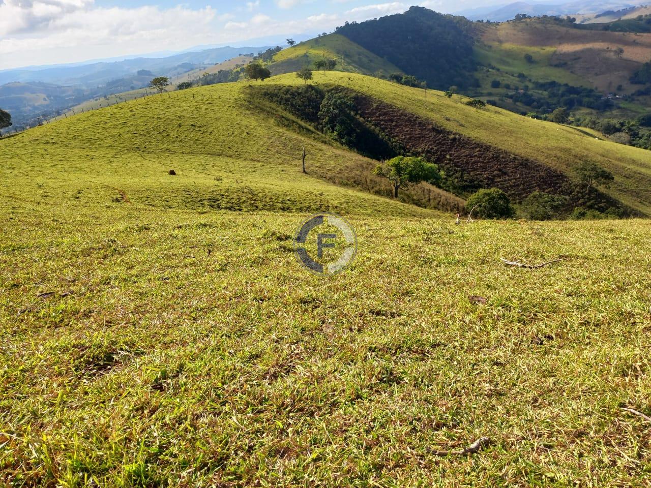 Fazenda, 4 quartos - Foto 39