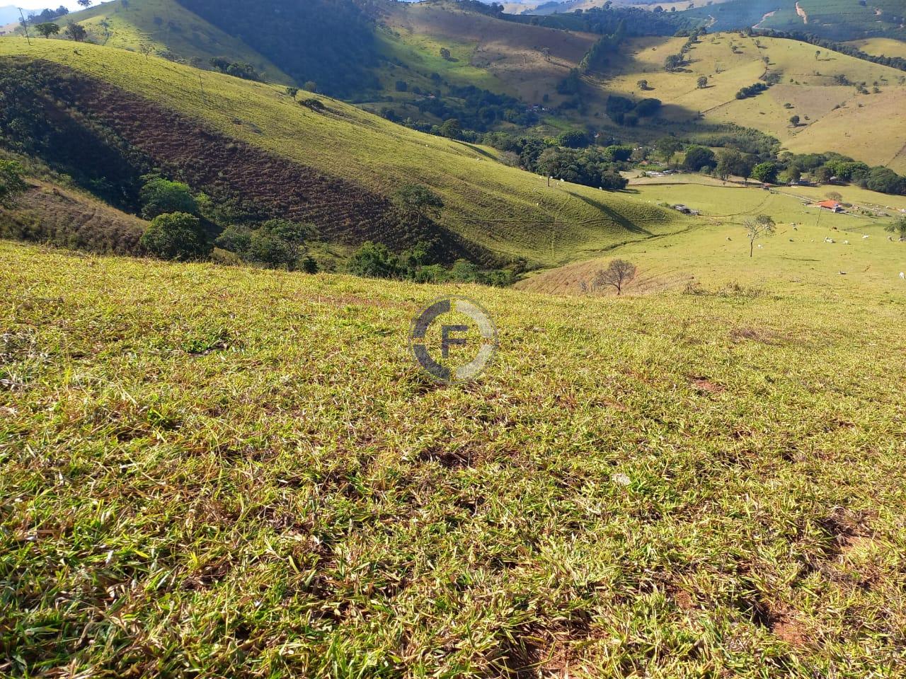 Fazenda, 4 quartos - Foto 40