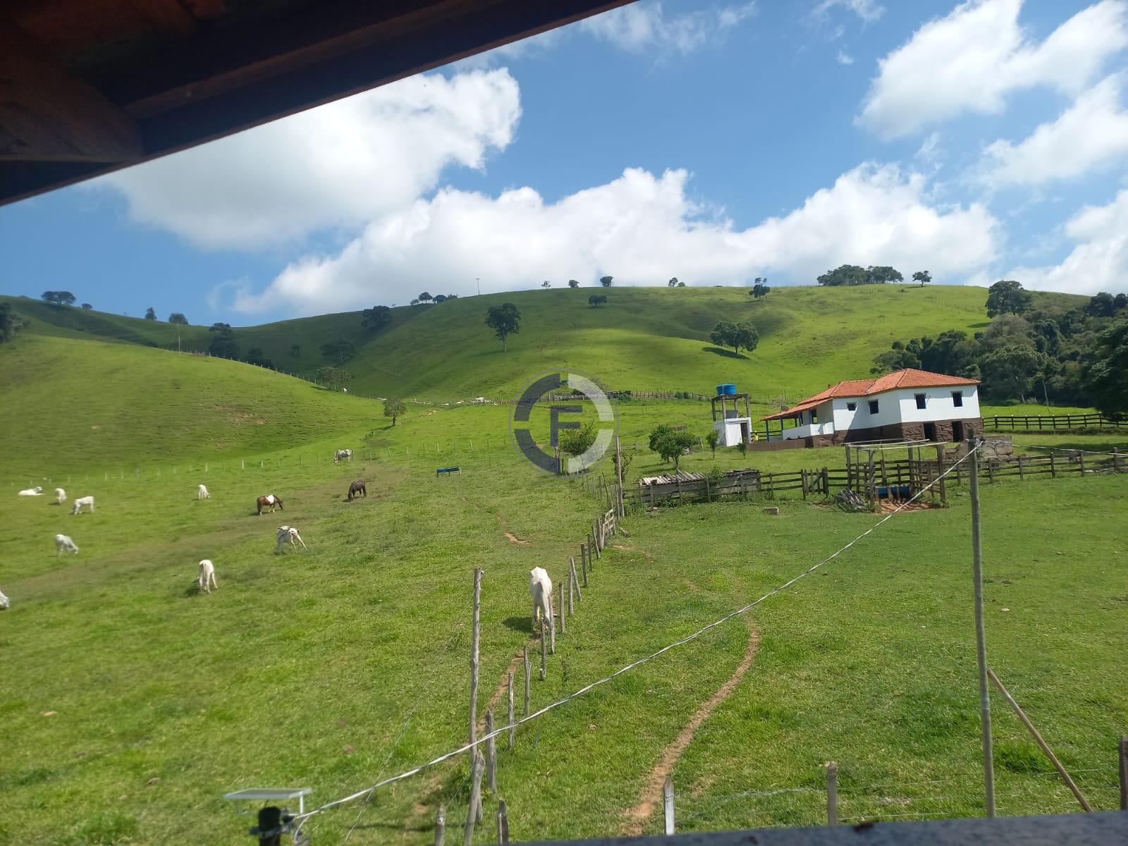 Fazenda, 4 quartos - Foto 42