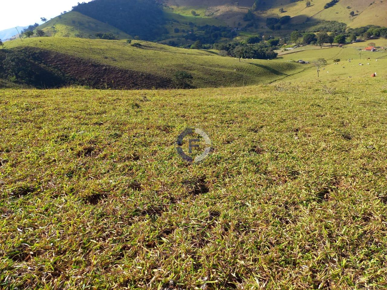 Fazenda, 4 quartos - Foto 43