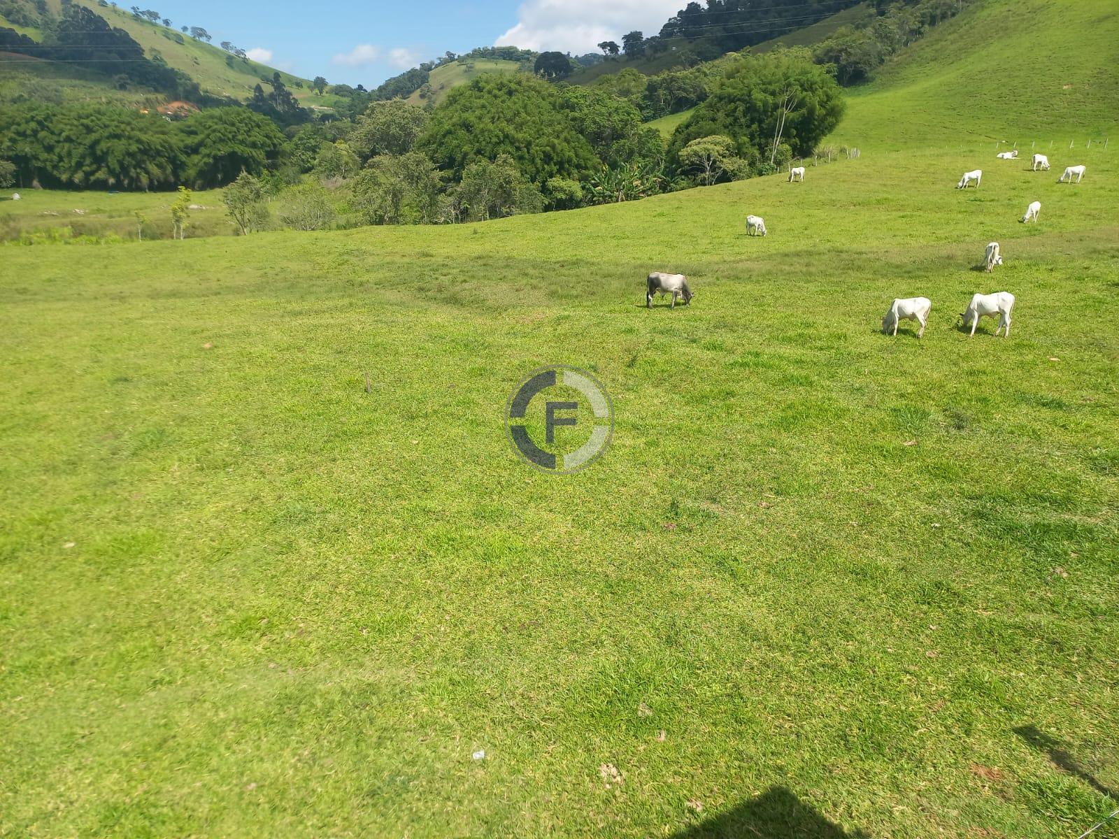 Fazenda, 4 quartos - Foto 44