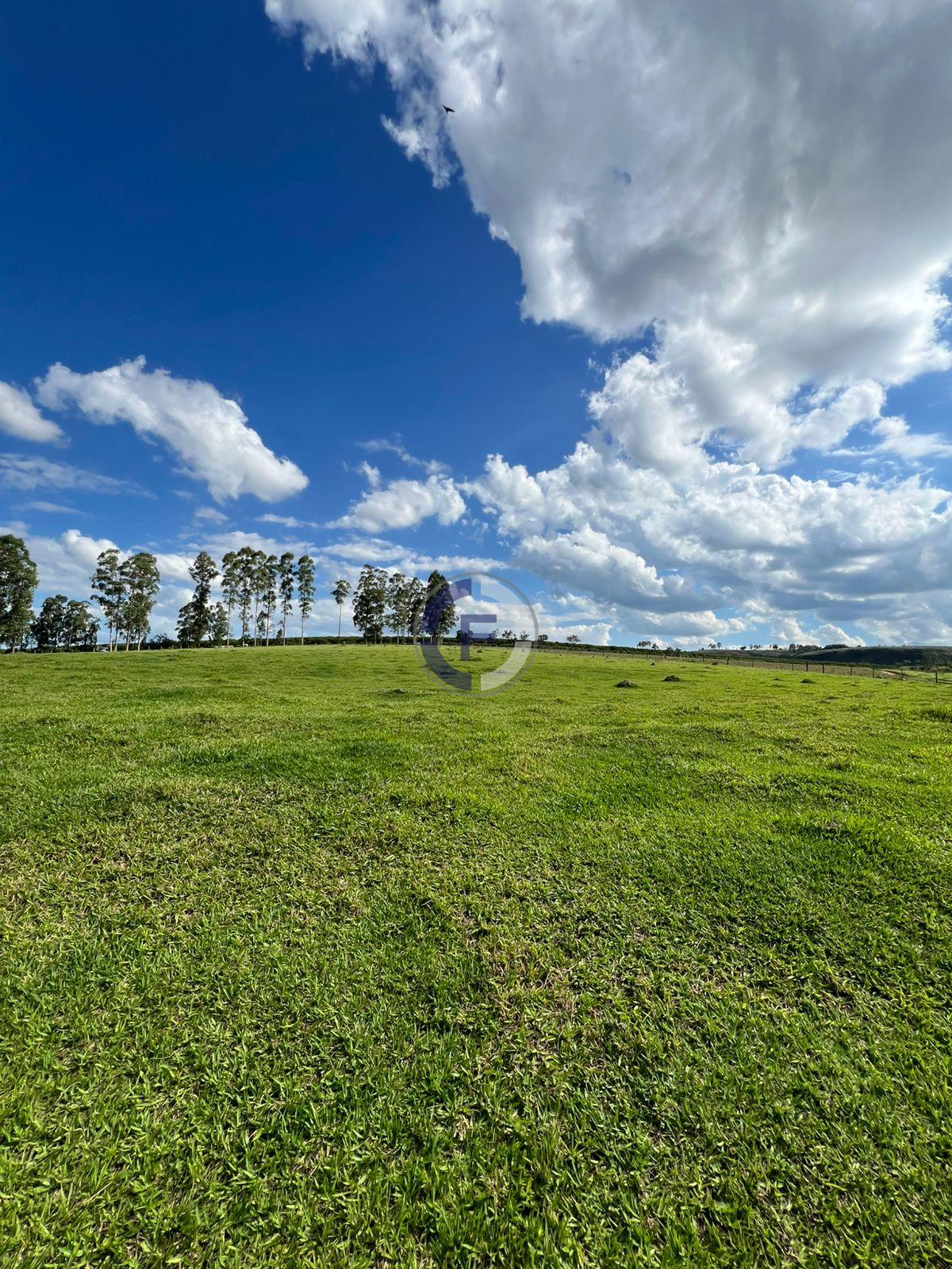 Sítio à venda, ZONA RURAL, SAO SEBASTIAO DO PARAISO - MG
