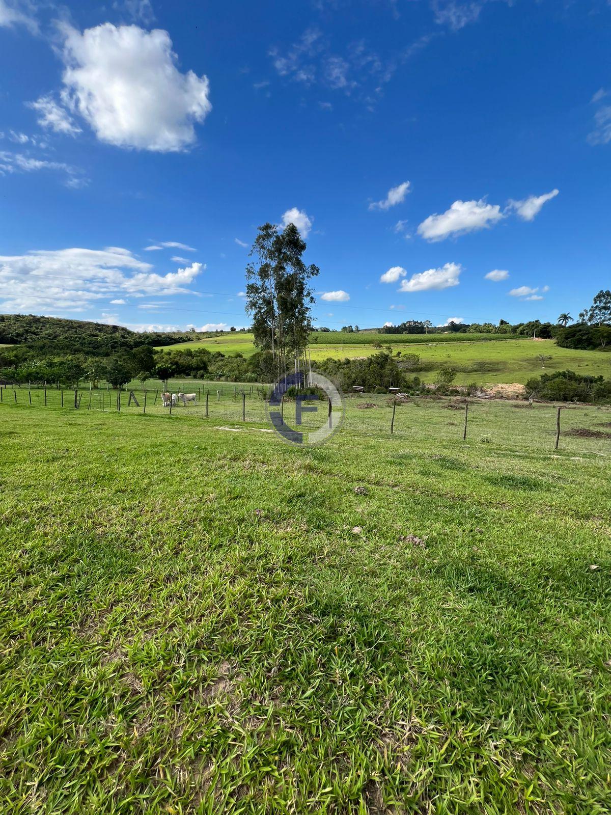 Sítio à venda, ZONA RURAL, SAO SEBASTIAO DO PARAISO - MG