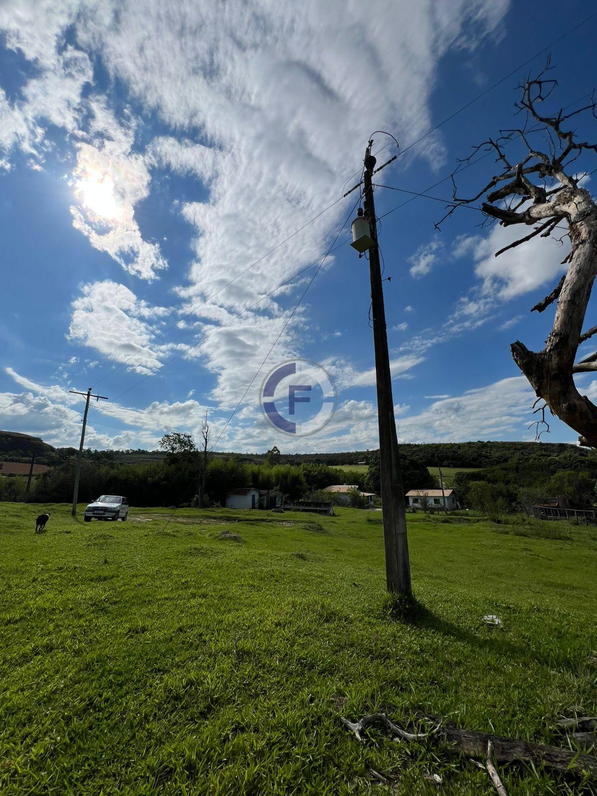 Sítio, 4 hectares - Foto 6