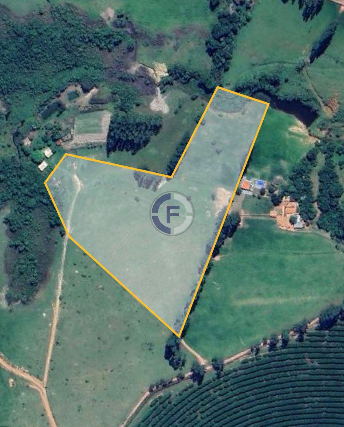 Sítio, 4 hectares - Foto 9