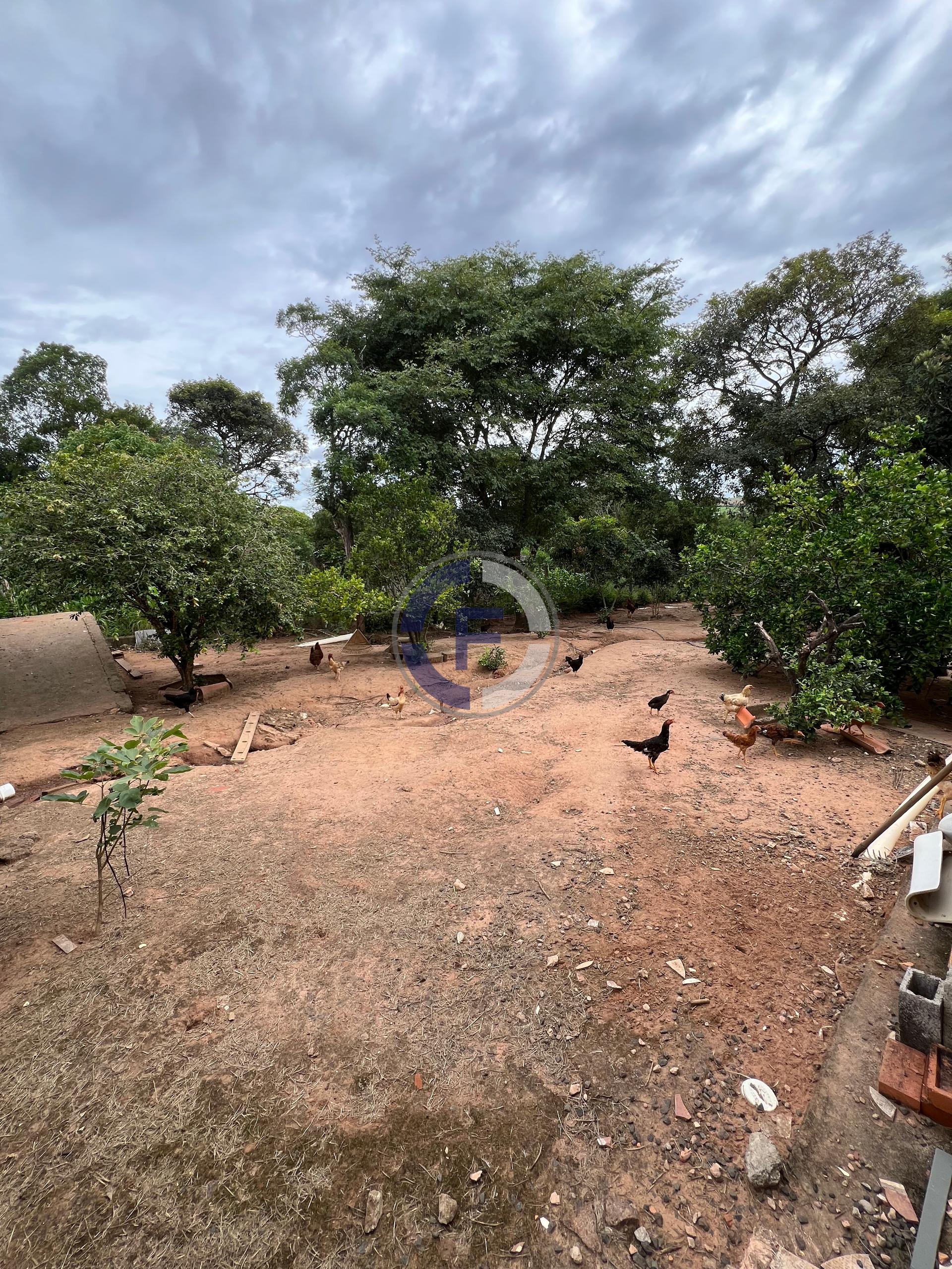 Chácara, 2 quartos, 2681 m² - Foto 30