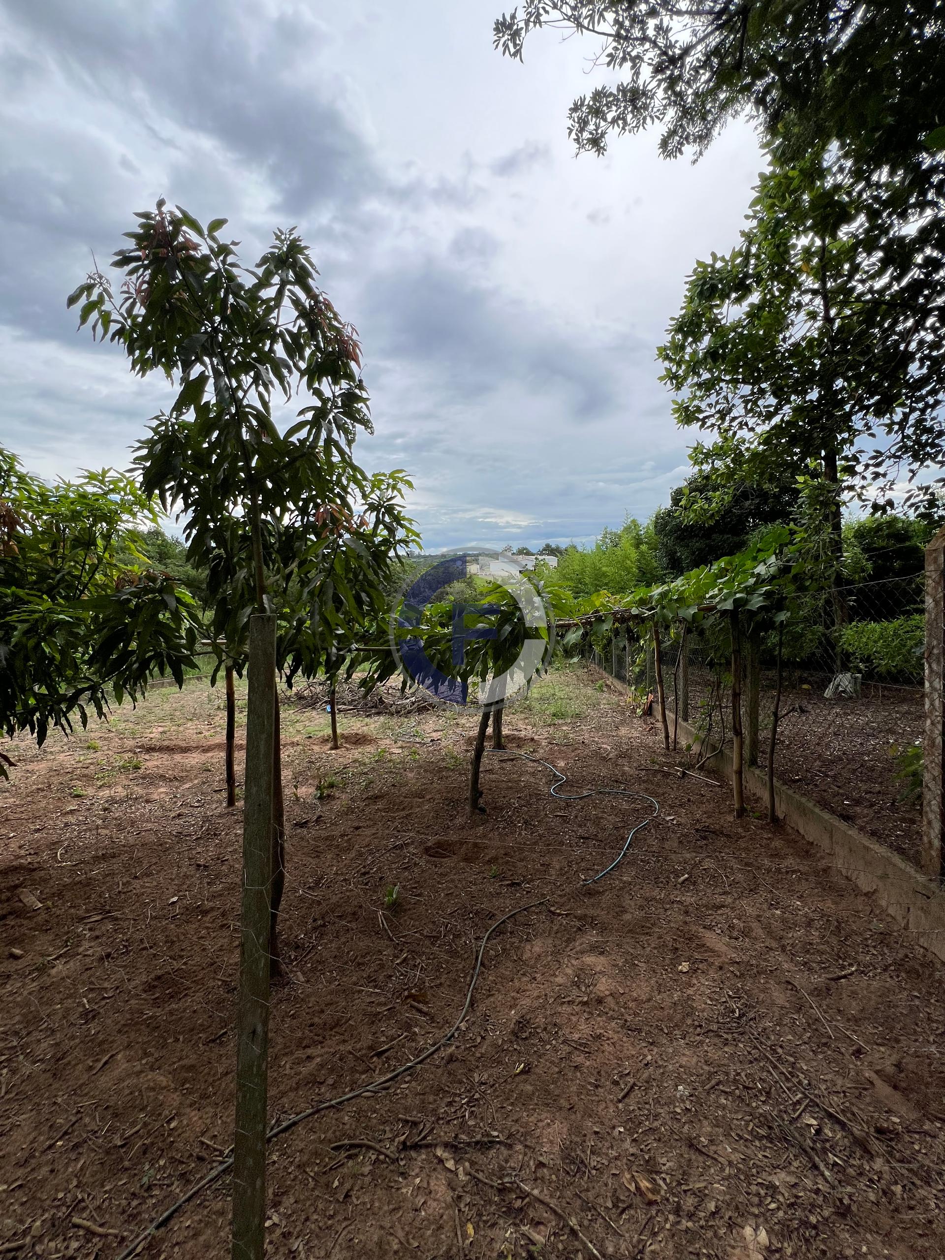 Chácara, 2 quartos, 2681 m² - Foto 33