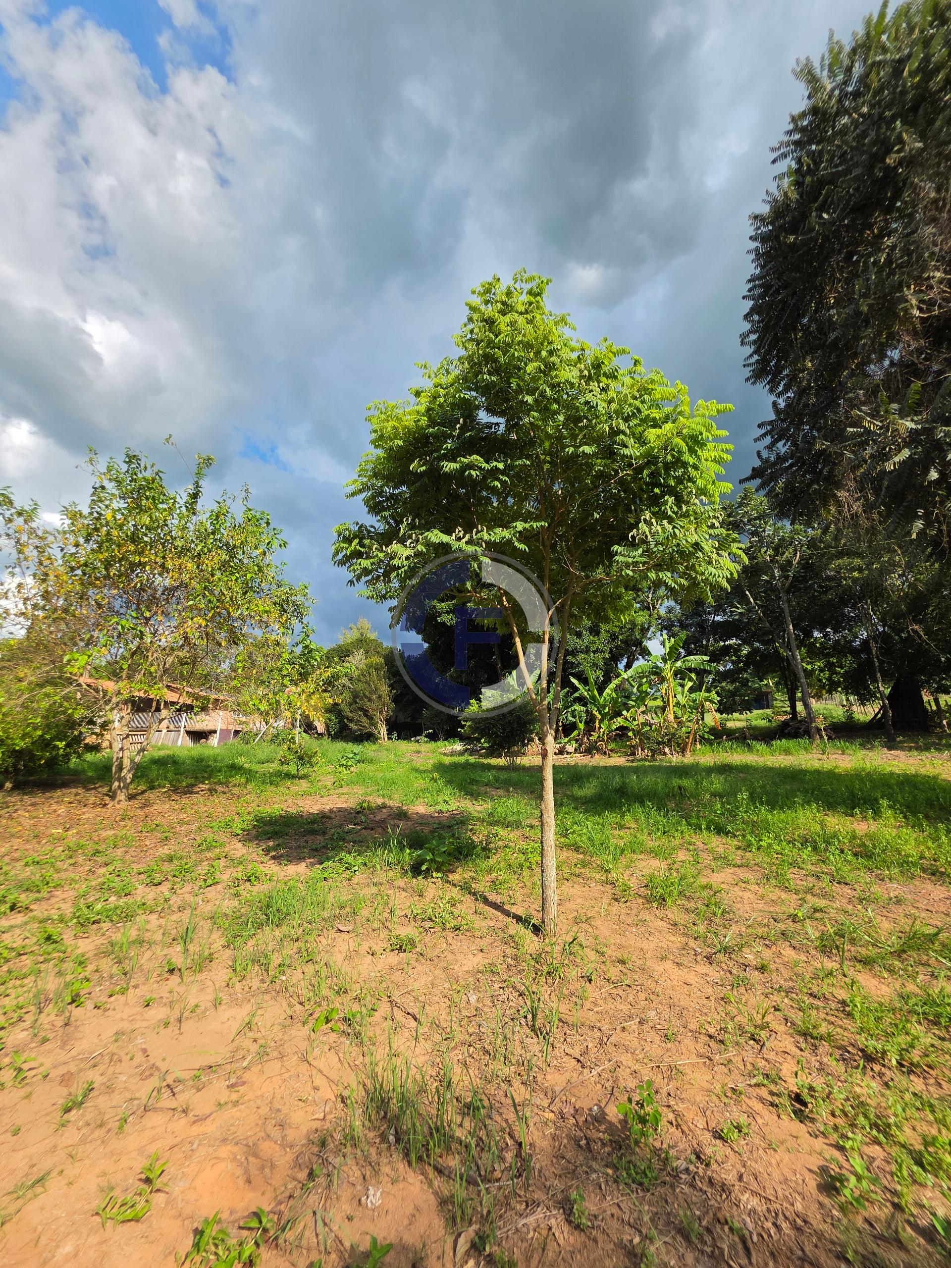 Sítio à venda, ZONA RURAL, SAO SEBASTIAO DO PARAISO - MG