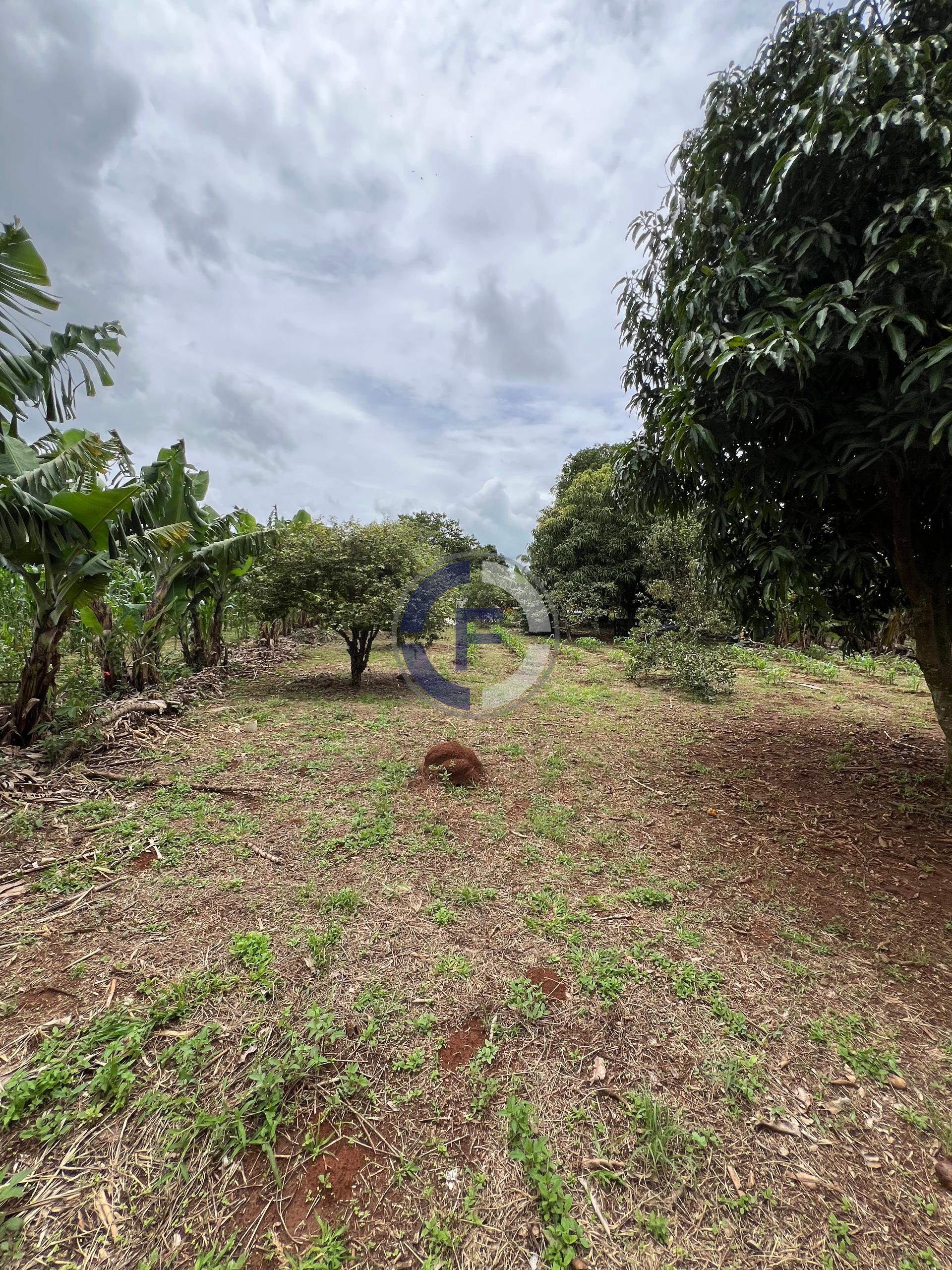 Chácara, 3 quartos, 5100 m² - Foto 18