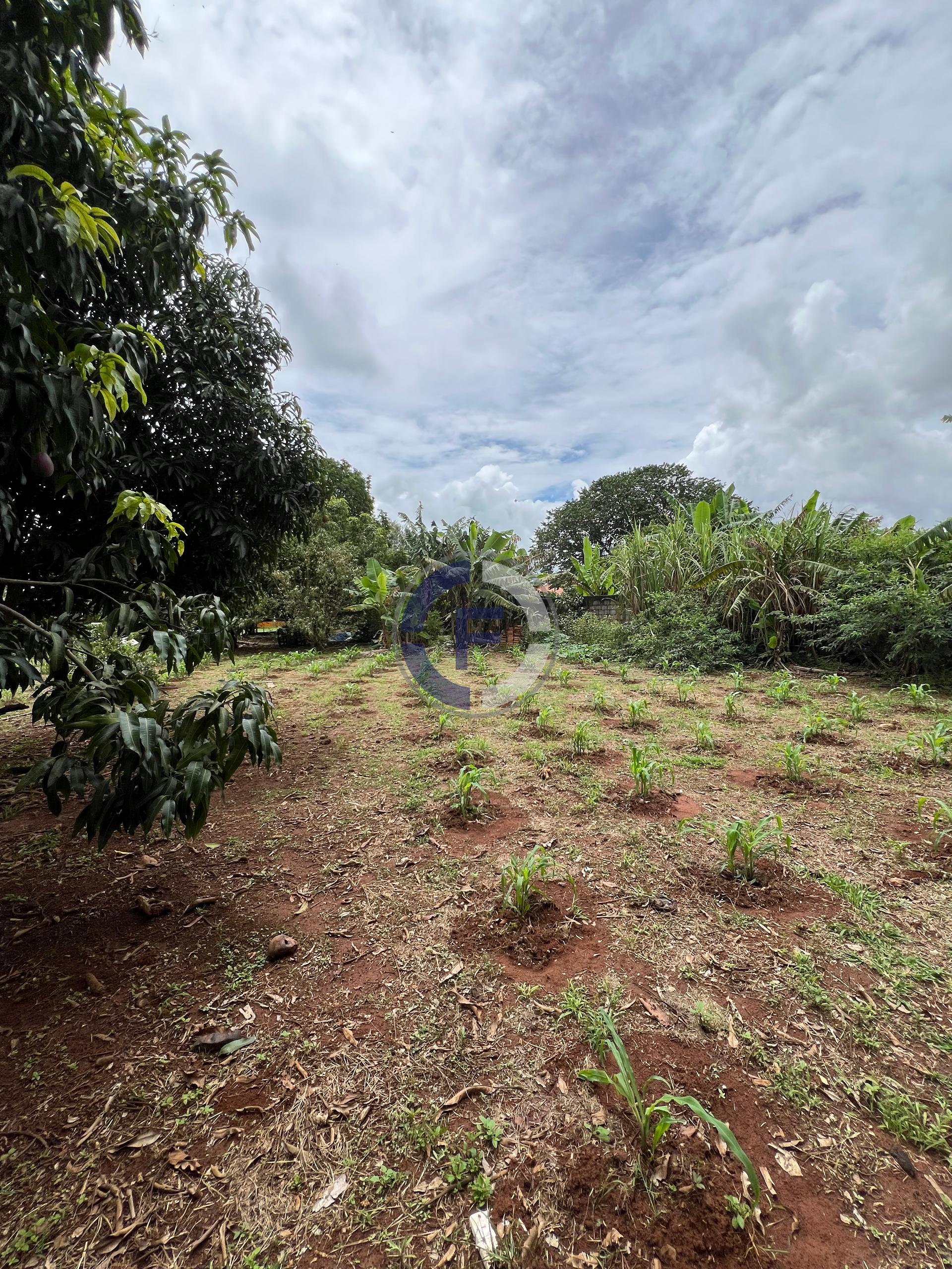 Chácara, 3 quartos, 5100 m² - Foto 19