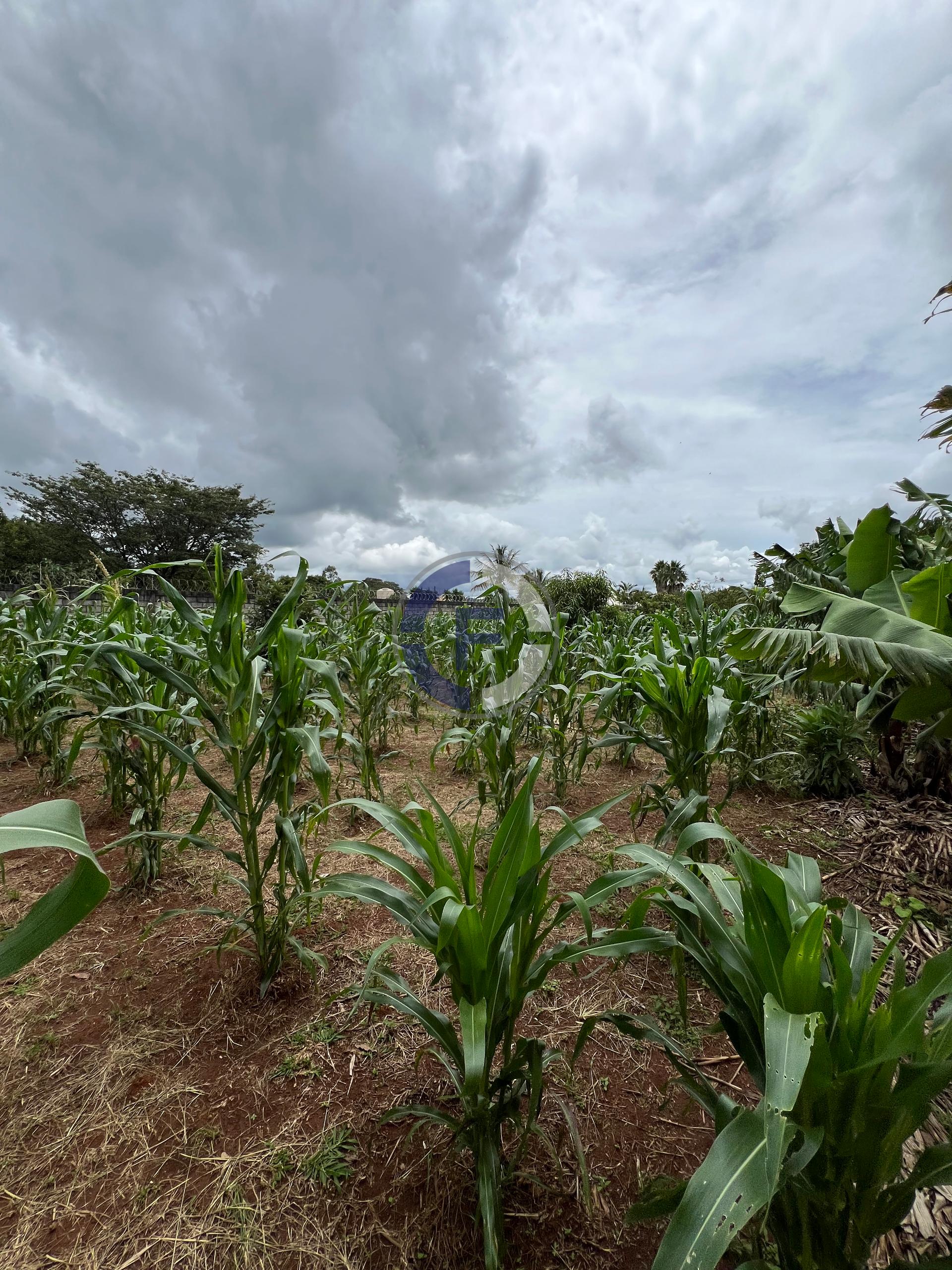 Chácara, 3 quartos, 5100 m² - Foto 20