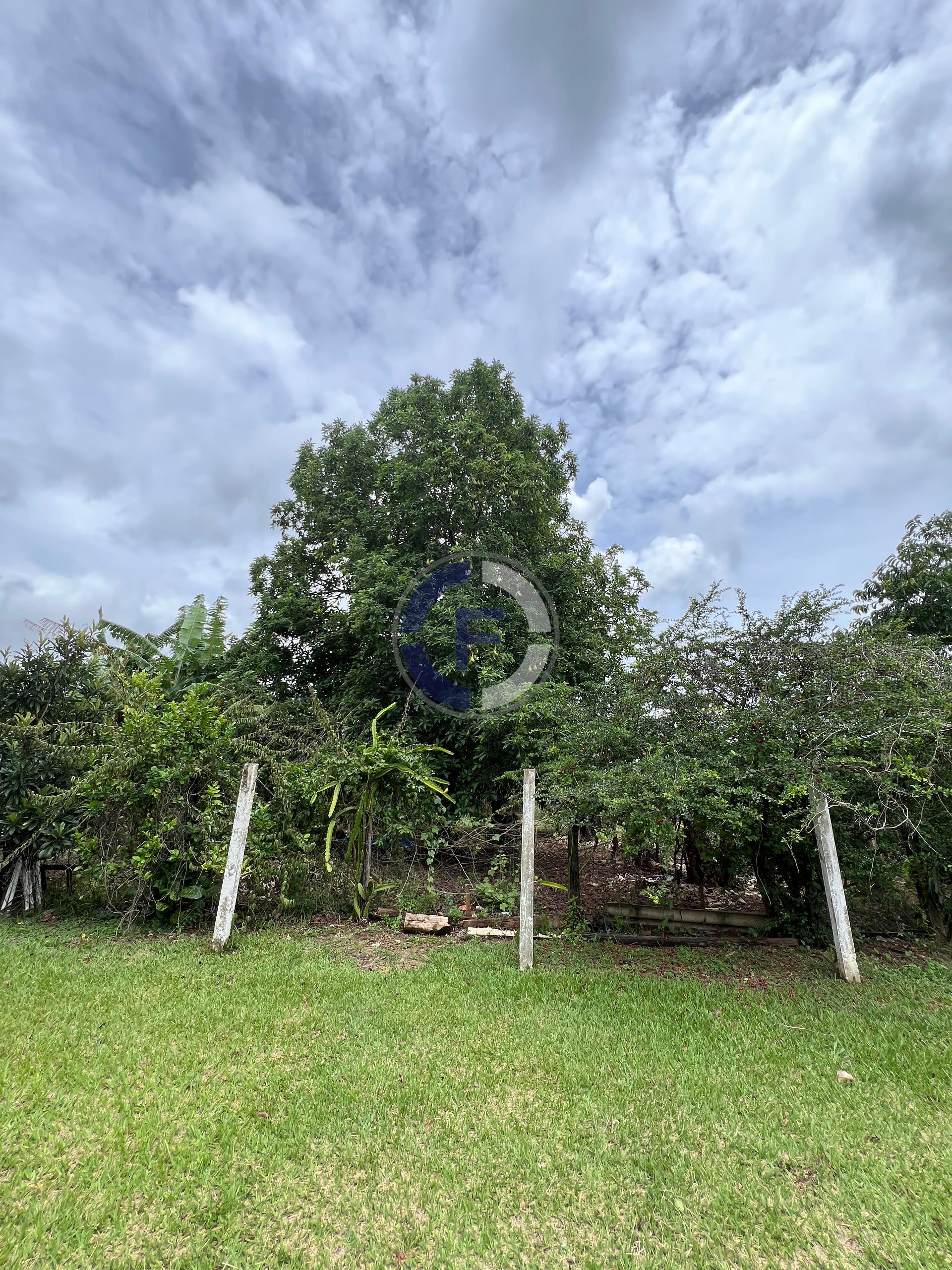 Chácara, 3 quartos, 5100 m² - Foto 21