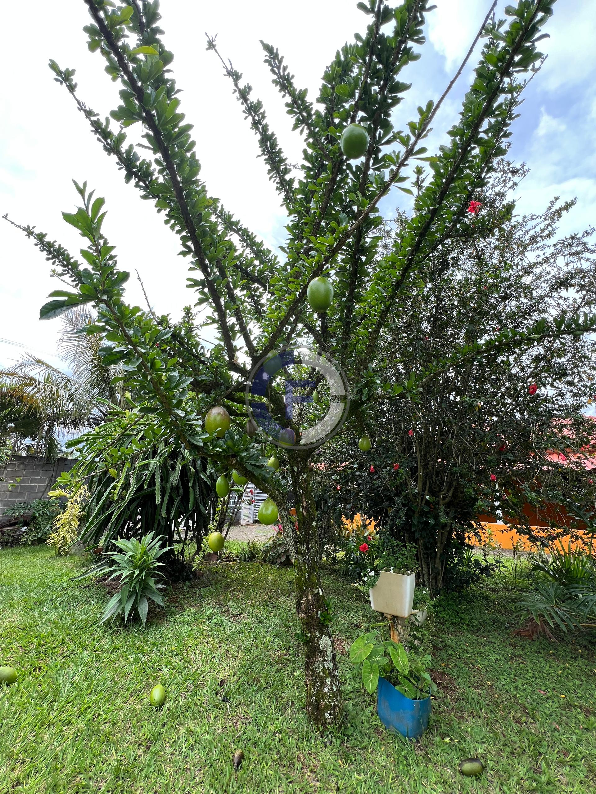 Chácara, 3 quartos, 5100 m² - Foto 22