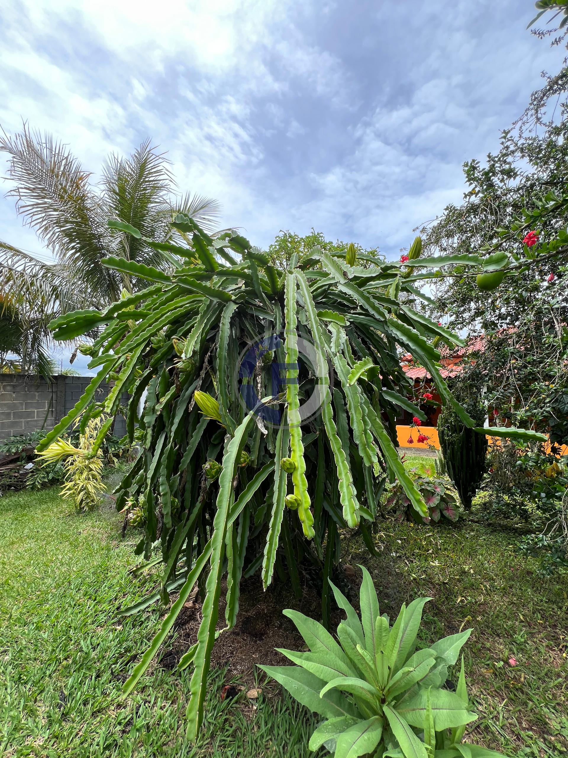 Chácara, 3 quartos, 5100 m² - Foto 23