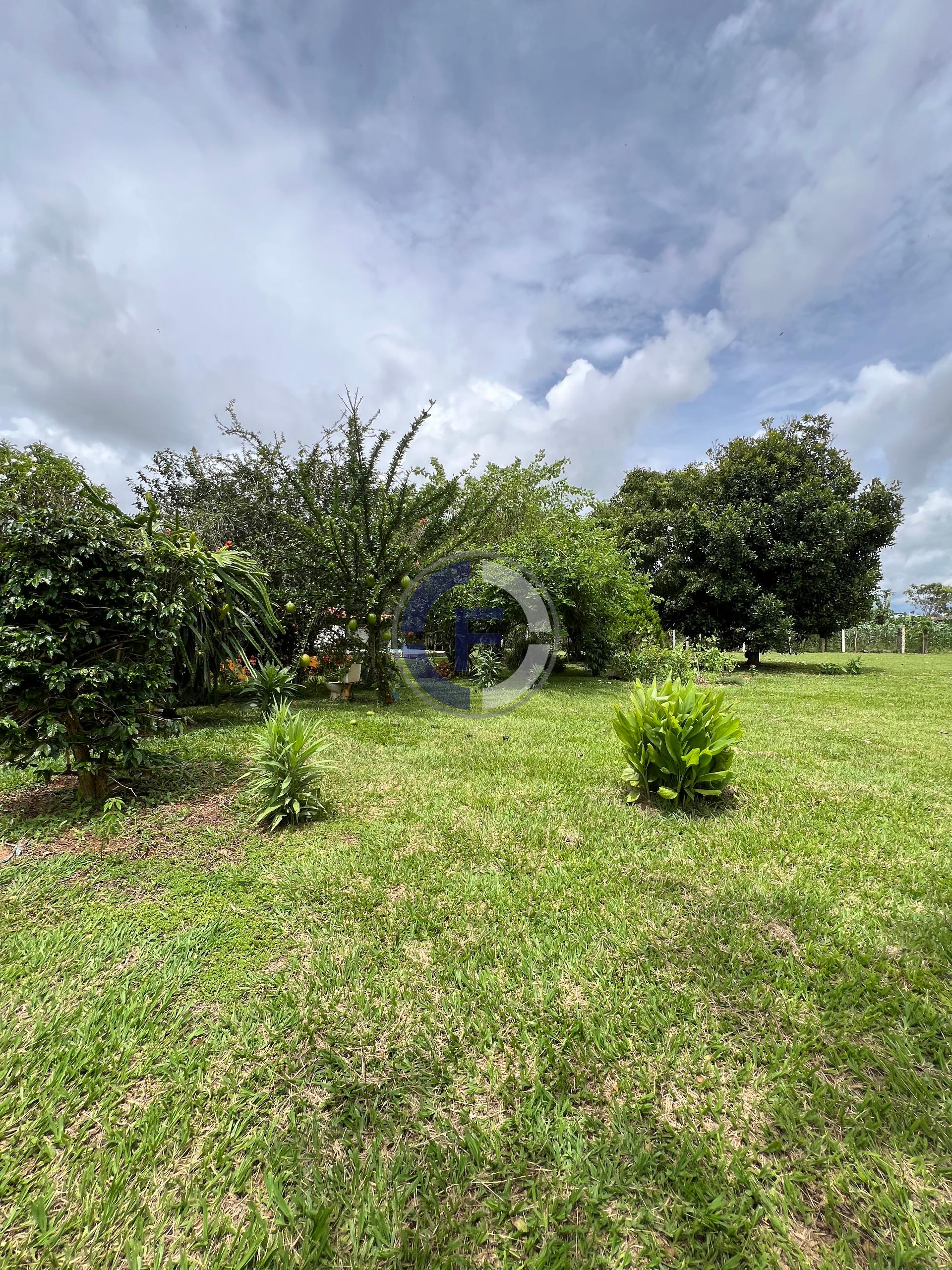 Chácara, 3 quartos, 5100 m² - Foto 24