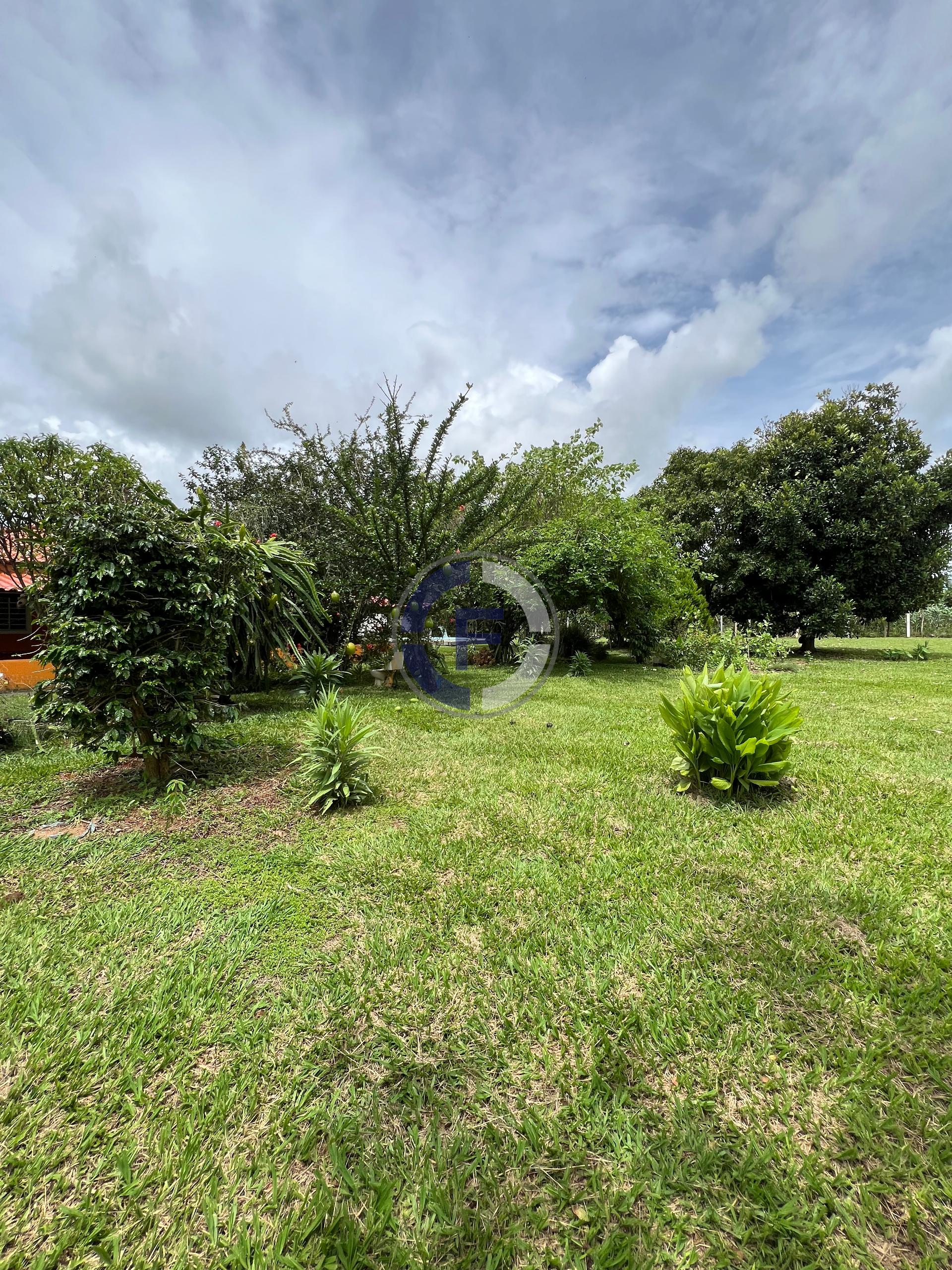 Chácara, 3 quartos, 5100 m² - Foto 25