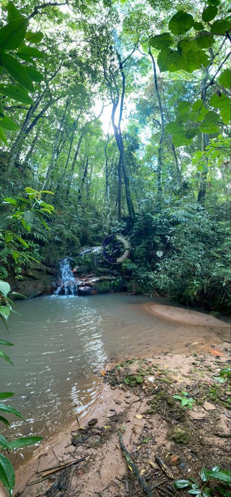 Chácara, 2 quartos, 3000 m² - Foto 15